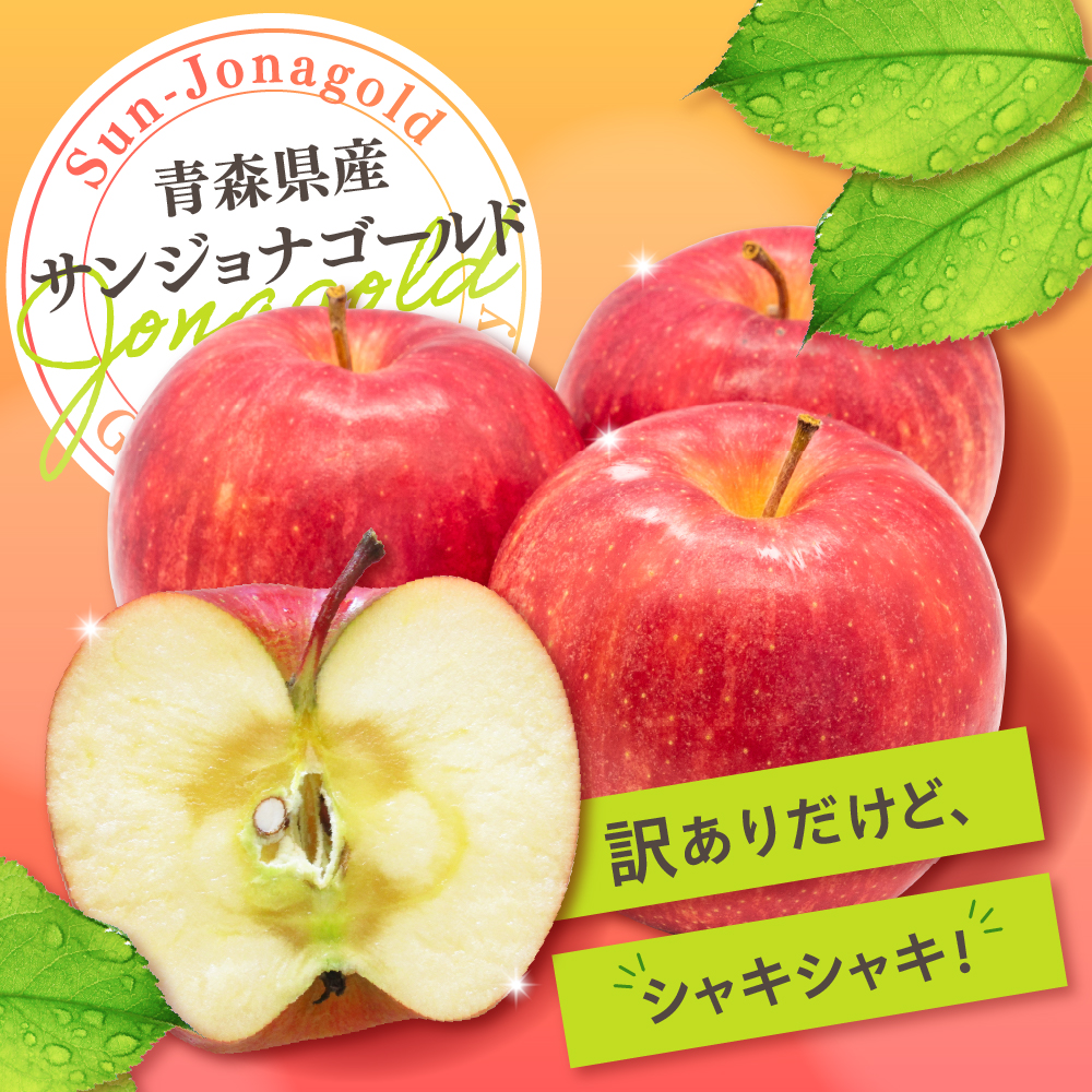 【2026年10月後半以降順次発送】訳あり りんご 10kg 程度 サンジョナゴールド 青森県産