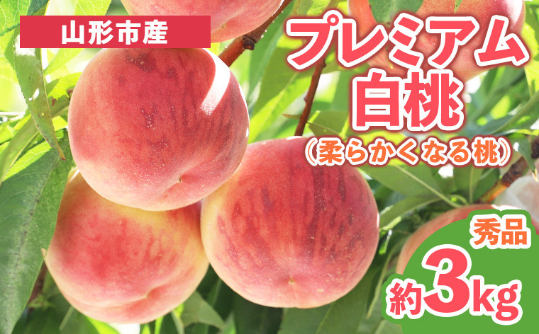 
                  プレミアム白桃 秀品 約3kg (5～14玉) [柔らかくなる桃] 【令和8年産先行予約】 FS25-627 くだもの 果物 フルーツ 山形 山形県 山形市 2026年産
                