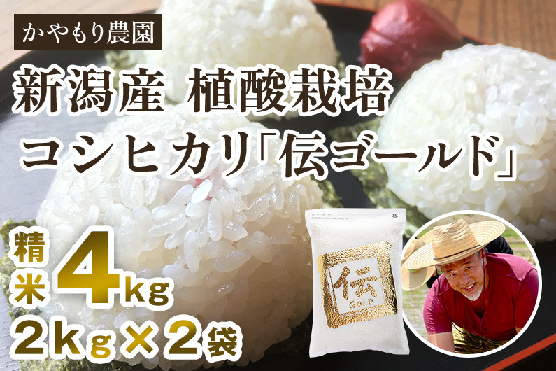 
            【令和6年産米】新潟産コシヒカリ「伝ゴールド」白米真空パック 精米4kg（2kg×2）南麻布の高級料亭で提供される極上米 かやもり農園
          