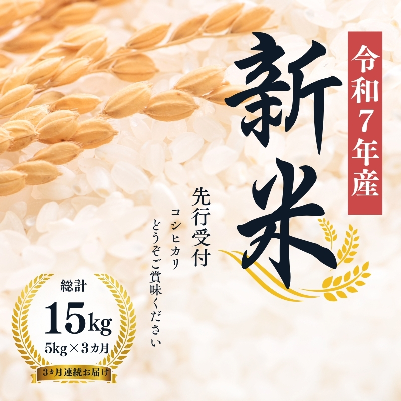 No.1501【令和７年産新米　先行予約】大文字屋米穀店【定期便3回】コシヒカリ 5kg 精米（3か月連続お届け）