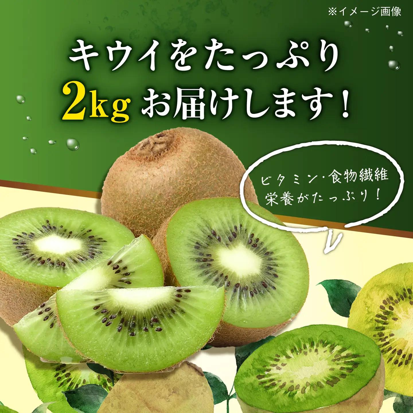 キウイフルーツ 2kg [AGBN057]