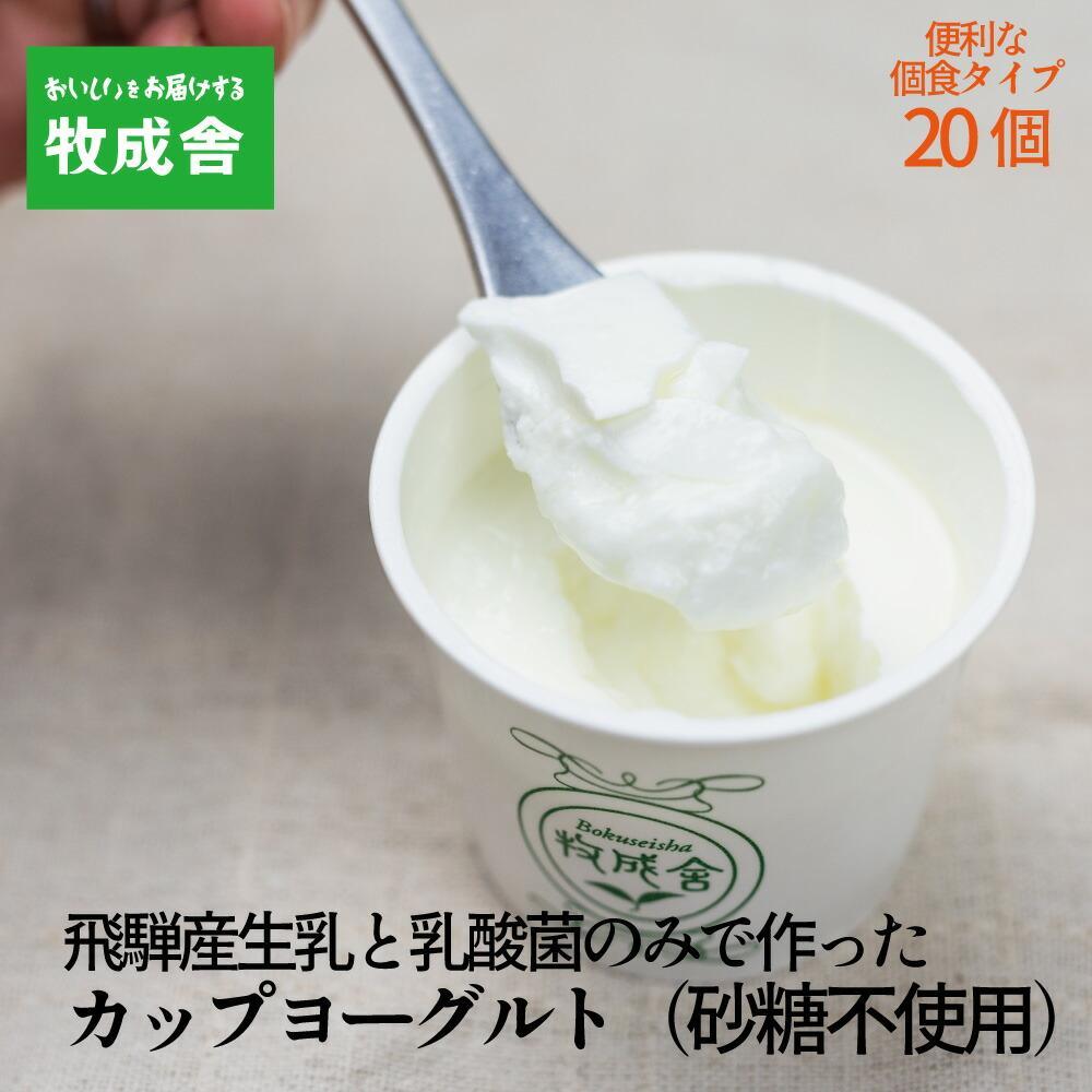 砂糖不使用 プレーンヨーグルト 20個 飛騨の牛乳屋 牧成舎 生乳100％ 朝食におすすめ 無糖ヨーグルト プレーンヨーグルト 砂糖不使用 生乳 ヨーグルト 乳製品