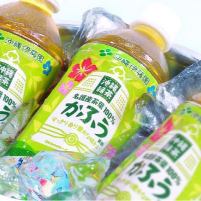 ふるさと納税 名護市 沖縄緑茶 かふう 525ml×24本 |  | 01