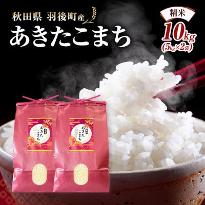 ふるさと納税 羽後町 秋田県羽後町産あきたこまち 精米 10kg(5kg×2袋)[No.5325-0583]