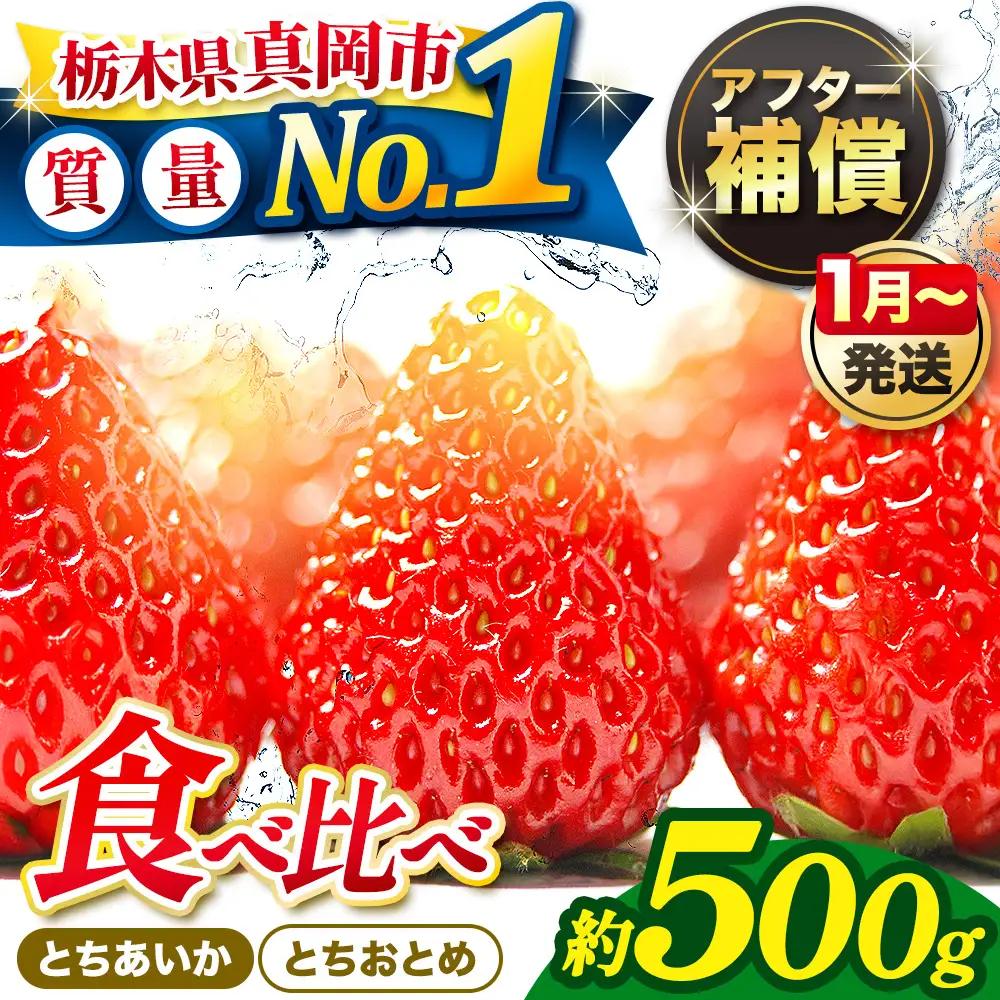 【先行予約受付中】【2027年1月発送】いちご とちおとめ・とちあいか 食べ比べ 500g