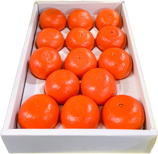 B350-14 まるたん　１４玉　化粧箱入り