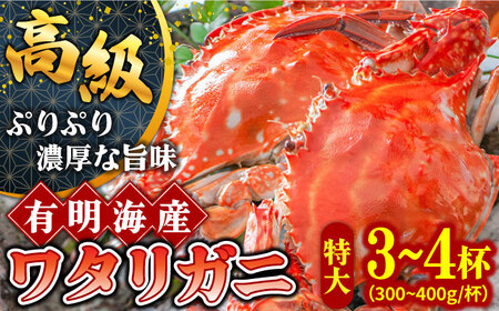 【2026年7月-発送】有明海の厳選ワタリガニ 300g-400g 長栄丸水産 [SFM002] ワタリガニ