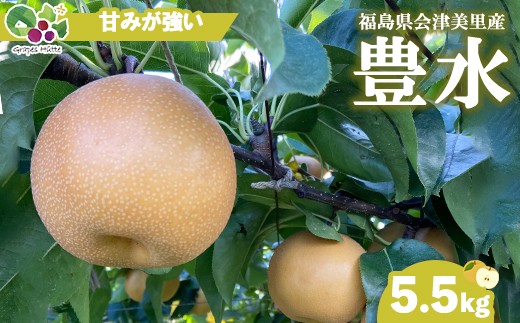 
                  【先行受付】会津の美味しい梨 豊水 約5.5kg（10玉～12玉） 贈答用2箱組 | 期間限定 梨 なし ナシ 果物 フルーツ 甘い ジューシー 果実 くだもの 国産 果実 会津美里町産 ※2026年9月～発送
                