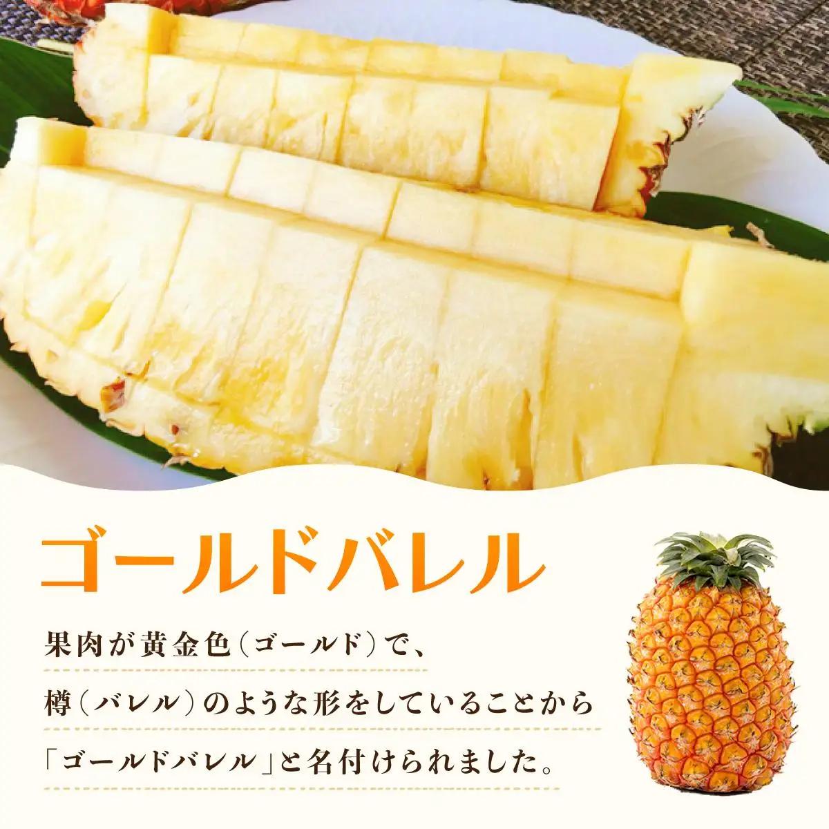 最高級 パイン 完熟 ゴールドバレル 1.0kg