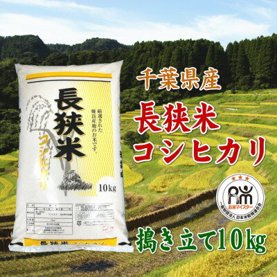 【ふるさと納税】令和7年産千葉県産長狭米コシヒカリ精米10kg【1576561】