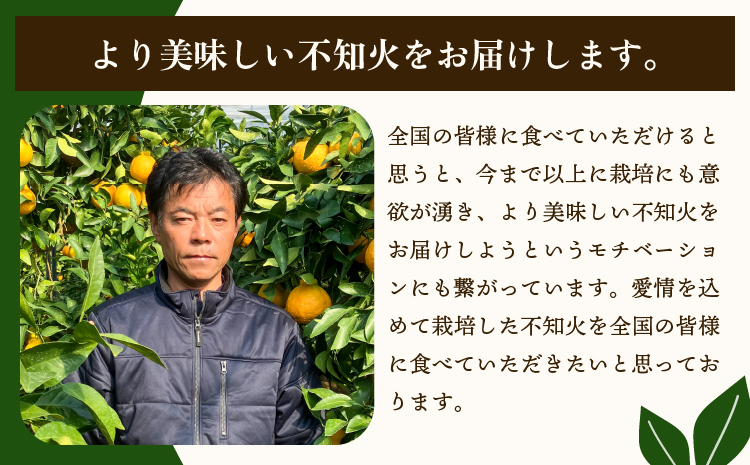 先行予約 宇城市産 不知火 約5kg 15玉〜22玉前後 【2026年3月上旬から5月上旬発送予定】 しらぬい みかん ミカン 蜜柑 柑橘 くだもの フルーツ 果物 熊本県産 九州産 国産 木村果樹園