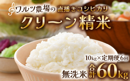 【令和7年産】定期便《6ヶ月連続お届け》ワルツ農場の直播き コシヒカリ クリーン精米（無洗米）10kg×6回 計60kg / お米 ご飯 白米 発送直前 精米 つや 艶 甘味 旨み あわら市産 福井県産 慣行栽培 コメ 北陸 福井県 あわら市 こしひかり [aw046-k001]