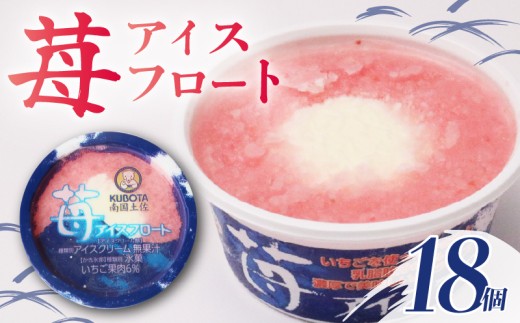 苺 アイスフロート 160ml×18個 | バニラ アイスクリーム アイス 人気 大容量 有名 氷菓子 かき氷 氷 アイスセット 詰め合わせ スイーツ ジェラート おすすめ 久保田食品 高知県 南国市