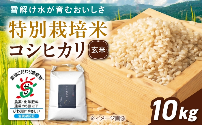 
                  ＜先行予約＞【令和8年産 新米】特別栽培米コシヒカリ10kg 玄米 滋賀県長浜市/くさおか農園 [AQEB006]
                