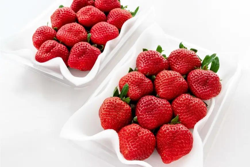いちご あまおう 270g 4p 計約1kg【2月後半-3月後半発送】 2027年発送 先行予約