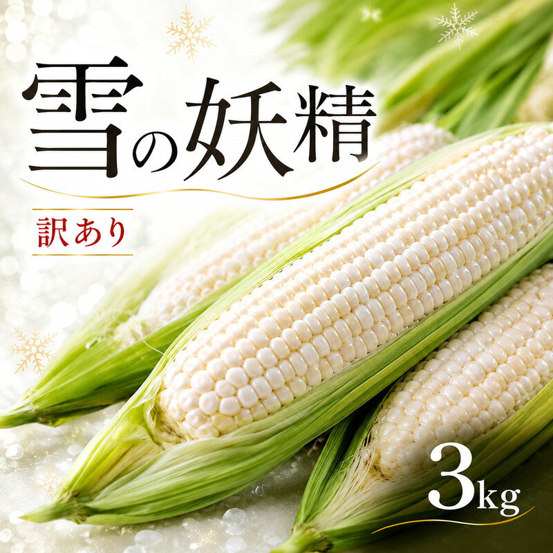 【ふるさと納税】 訳あり とうもろこし 白いとうもろこし 約 3kg 雪の妖精 数量限定 希少 コーン フルーツ 高糖度 サイズ不揃い 夏 やさい 野菜 夏野菜 旬 甘い 白い 朝採れ 産地直送 産直 冷蔵 国産 ふるさと納税トウモロコシ 送料無料 ふるさと納税 千葉県 銚子市 孝農園