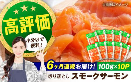 【全6回】スモークサーモン 100ｇ×10[AQAJ039]