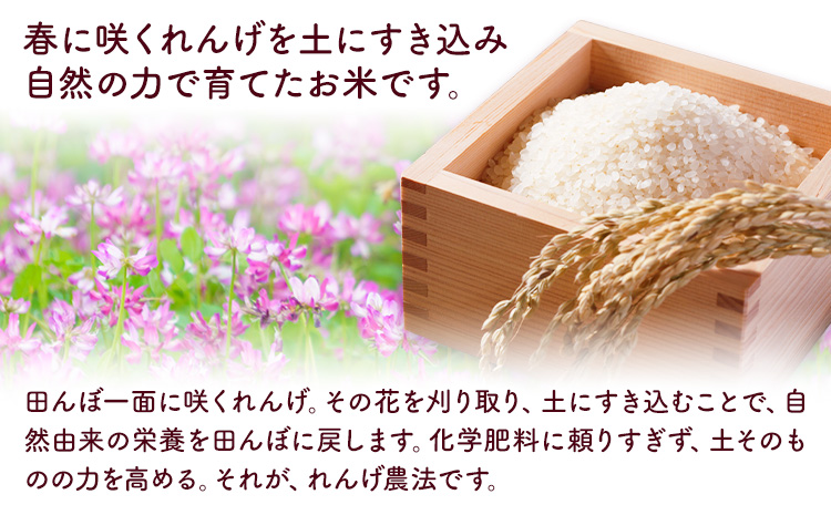 熊本県菊池市産のれんげ米 5kg 《30日以内に出荷予定(土日祝除く)》  精米方法 玄米 お米 レンゲ米 熊本県産 九州産 送料無料