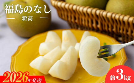 No.2738梨　新高　3kg【2026年発送】