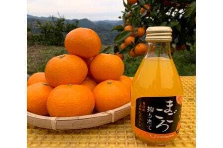 M082　まごころ搾りたて有田産みかんジュース１８０ｍｌ　１２本入