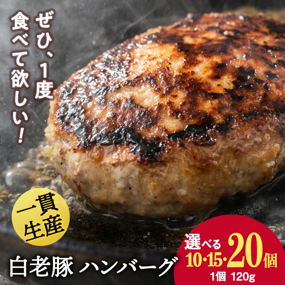 【ふるさと納税】 北海道産 白老豚 ハンバーグ 選べる10個～20個セット 1個120gハンバーグ 加工肉 豚肉 白老豚 白老 北海道 北海道ふるさと納税 白老 ふるさと納税 北海道 クリスマス