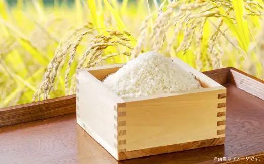 【 令和7年産 】 岡山県産 きぬむすめ 10kg （ 5kg × 2袋 ） 甘み 粘り 食味 特A お米 米 こめ コメ 白飯 飯 ご飯 ブランド米 ブランド 国産 白米 おにぎり