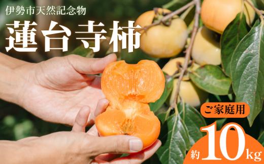 【先行予約】【10月～11月上旬発送】 令和8年産 伊勢市 蓮台寺柿 ご家庭用 約10㎏ 34～44個入り | 伊勢市指定天然記念物  伊勢市産 柿 家庭用 蓮台寺柿 天然記念物 天然 カキ フルーツ 果物 秋の味覚 希少 蓮台寺 甘い 旬 秋 三重県産 おすすめ おいしい 甘い 季節限定 伊勢志摩 伊勢農業協同組合 三重 伊勢 （2333）