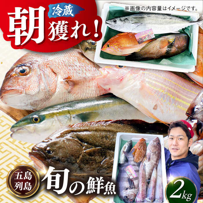 【ふるさと納税】【五島列島直送】朝獲れ鮮魚セット2kg 五島市/鯛福丸水産[PDP008] 魚 鮮魚 セット 海鮮 直送 さかな 詰合せ 冷蔵