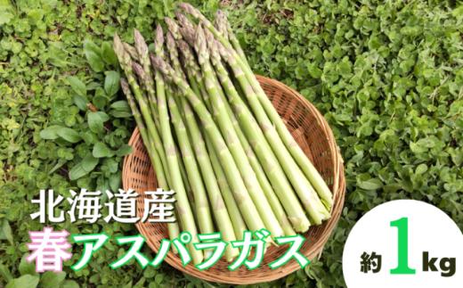 【先行予約】北海道栗山町産 春アスパラ 1kg程度 池田農林　YD064
