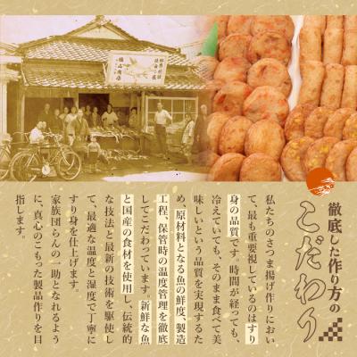 ふるさと納税 霧島市 お魚食べてる?冷凍さつま揚げ100本セット(10本入り×10袋) K-537【植山かまぼこ屋】 |  | 01