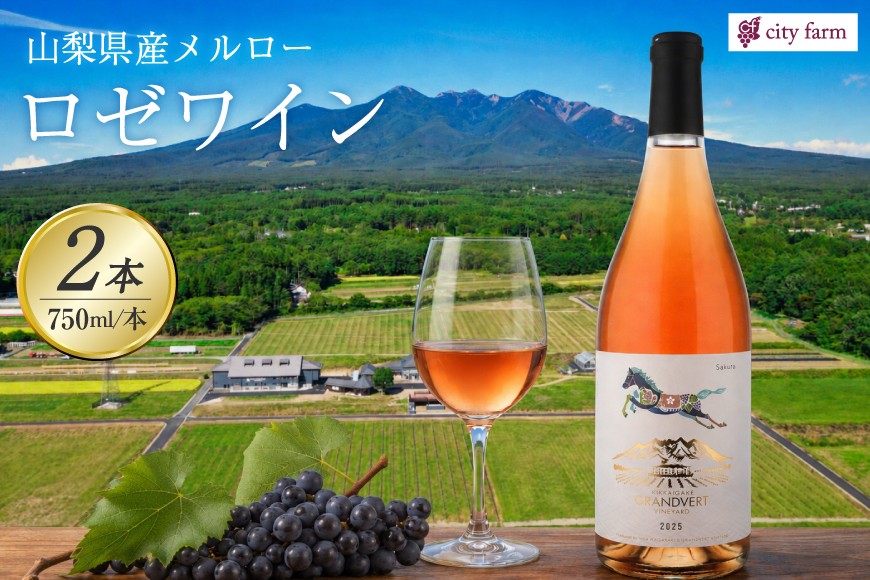 
                  酒 ワイン ロゼ ロゼサクラメルロー 750ml 2本 計 1500ml セット [city farm 山梨県 韮崎市 20742540] 山梨ワイン ロゼワイン ピンク ぶどう ブドウ 葡萄 メルロー お酒 わいん wine 洋酒 果実酒
                
