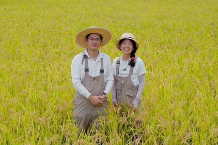 令和７年産 白川の美米 １０kg 令和7年産 南小国産 玄米 白米 3分づき 5分づき 7分づき 森のくまさん 精米 米 5kg 2袋 お米 ご飯 ごはん 無農薬 農薬不使用 自然栽培 産地直送 白川