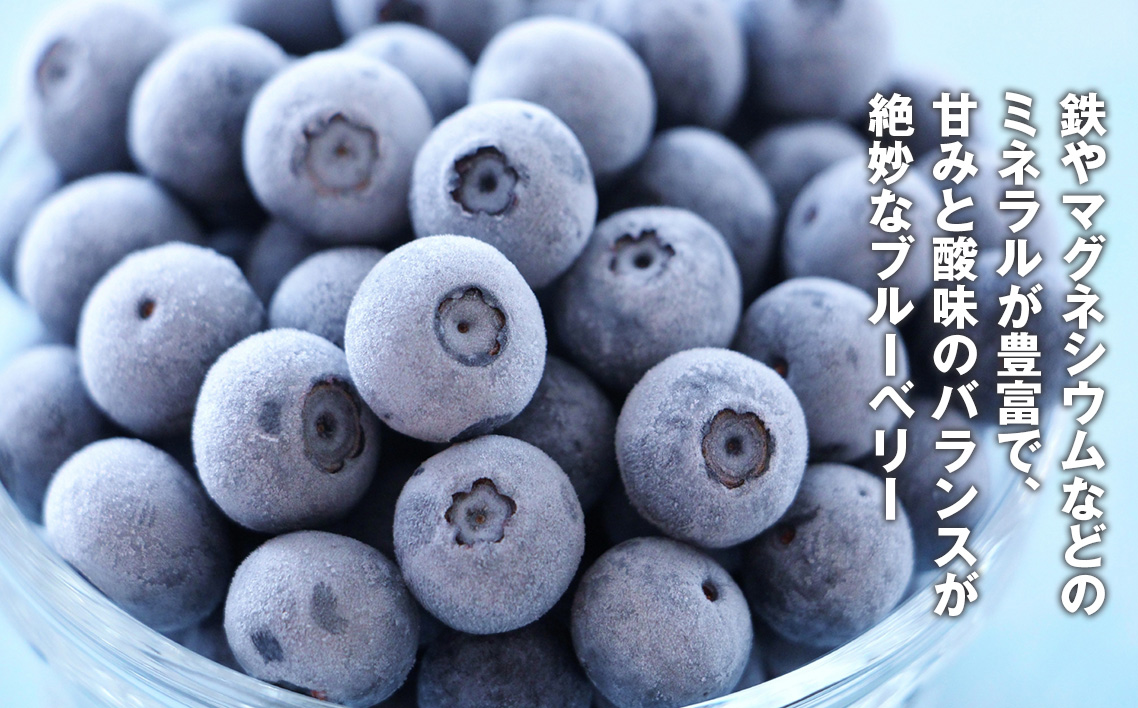 冷凍ブルーベリー 2kg 農薬・化学肥料不使用 No.322