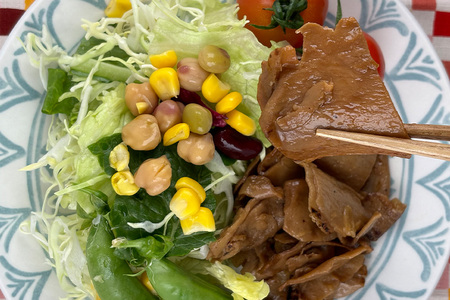 国産有機大豆ミート ハンバーグ ・ 生姜焼き 100g×各2pセット 植物性原料使用 ヴィーガン対応 JAS認証取得 お肉のような食感 ボリューム満点 健康志向 ヘルシー食品 冷凍保存 茨城県 潮来市