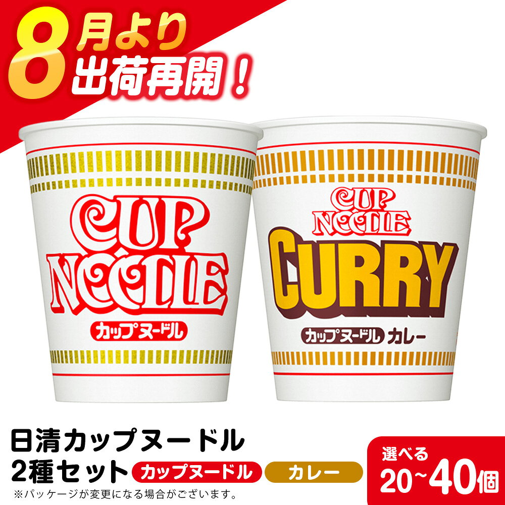 【ふるさと納税】 日清ヌードル2種セット カップヌードル・カレーヌードル 選べる各10食・各20食入 合計20食・40食 麺類 ラーメン麺 即席麺 麺類 ラーメン カップ麺 インスタント 麺類 カップラーメン 【北海道千歳市】ギフト ふるさと納税
