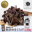 【ふるさと納税】国産 乾燥 きくらげ 20g×6パック 計120g 小分け 栄養豊富 無農薬 無添加 オーガニック 自家栽培 雪国 魚沼ゆきくらげ キクラゲ 木耳 きのこ キノコ ビタミンD 肉厚 健康 食品 食物繊維 佃煮 歯ごたえ 菌床 食感 高品質 送料無料 新潟県 南魚沼市