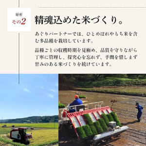 令和8年産 新米 ひとめぼれ 10kg ( 5kg × 2袋 ) 2ヵ月 定期便 先行予約 米 お米 白米 精米 こめ コメ 令和8年 宮城県産