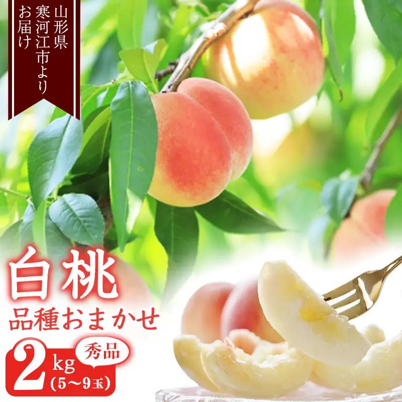 《先行予約》令和8年産 山形の白桃 秀品 2kg（5 - 9玉） 品種おまかせ 2026年産 山形県産【2026年8月上旬頃から9月下旬頃発送予定】※ 配送不可 沖縄・離島　013-B-MM011