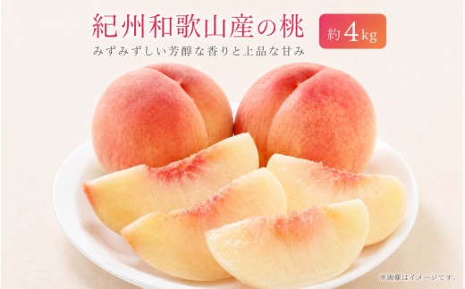 
                  紀州和歌山産の桃　約4kg　化粧箱入	※2027年6月下旬頃〜8月上旬頃順次発送（お届け日指定不可）【uot723B】
                