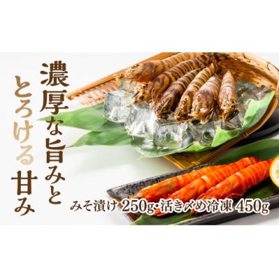 ふるさと納税 山口市 特撰車えびセット C135