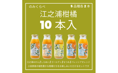 小田原産江之浦みかんジュース５種のみくらべ１０本セット うんしゅう・しらぬい・ゴールデン・なつみ・バレンシアオレンジ１００％ストレートジュース１８０ml各２本合計１０本【みかんジュース みかんジュース 神奈川県 小田原市 】