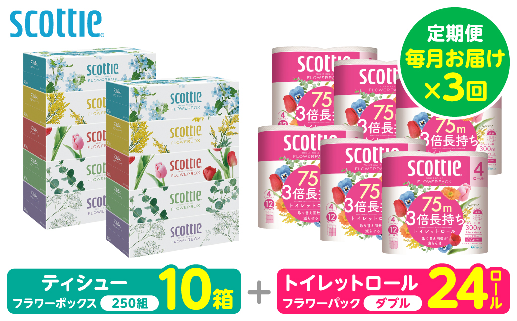 【定期便3回】【毎月お届け】【スコッティ】 組み合わせ ティシュー フラワーボックス 250組 10箱 計30箱 トイレットロール ダブル フラワーパック 3倍長持ち 24ロール 計72ロール ティッシュ トイレットペーパー 日用品 防災備蓄 ストック 備蓄 新生活 防災 消耗品 生活用品 日用消耗品 箱ティッシュ