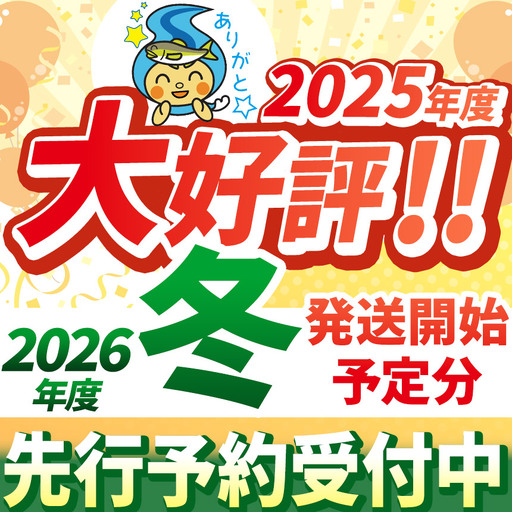 【栃木県共通返礼品】【2025年先行予約】スカイベリー 280g×2P| 年内発送 果物 くだもの フルーツ 野菜 やさい ヤサイ 苺 イチゴ いちご スカイベリー 新鮮 甘い 数量 限定 美味しい 