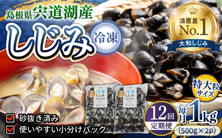 しじみ 【全12回定期便】超希少！特大粒プレミアムサイズ 宍道湖産冷凍大和しじみ 特大粒500g×2袋 島根県松江市/平野缶詰有限会社[ALBZ044] しじみ しじみ