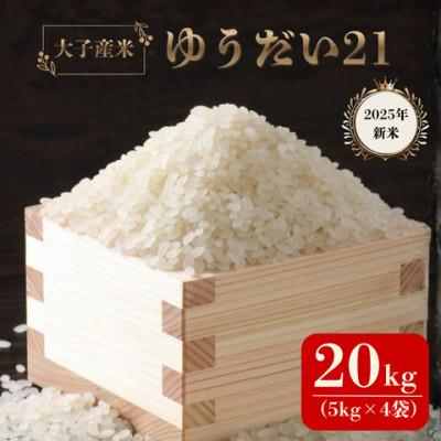 ふるさと納税 大子町 大子産米 ゆうだい21(精米)20kg(5kg×4袋)茨城県 大子町 白米 令和7年産