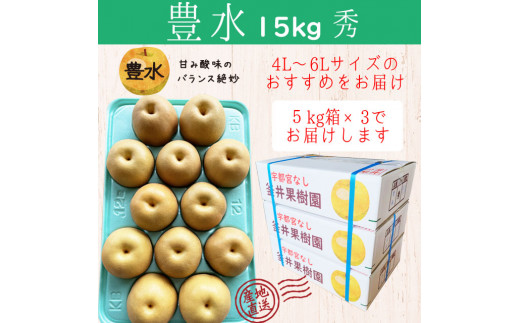 豊水 15kg 27～36玉 | 栃木県産 宇都宮市 梨 なし 豊水 フルーツ 果物 旬 産地直送 ※2026年8月～発送