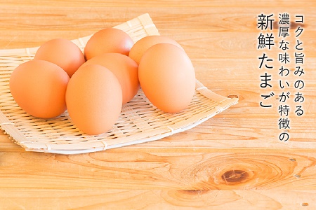 042-03 菊ちゃんのたまご10個入×6パック