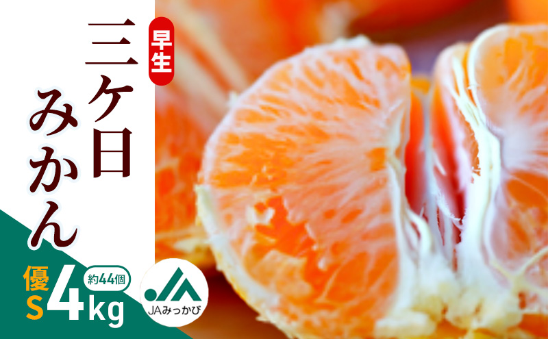 早生三ケ日みかん 優S 4kg （約44個）みかん ミカン フルーツ 果物 くだもの 機能性表示食品 浜松市