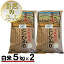 【ふるさと納税】自然農法米こしひかり「自然の恵み」白米5kg×2個《特別栽培米》　【お米・米・コシヒカリ・特別農法・自然米・化学肥料ゼロ・JAS有機栽培・安全なお米・精米】