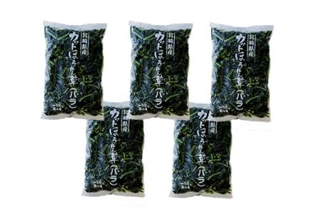 国産『冷凍ほうれん草』2.5kg(500g×5袋)  グローバルGAP取得のホウレンソウ TF0477-P00019